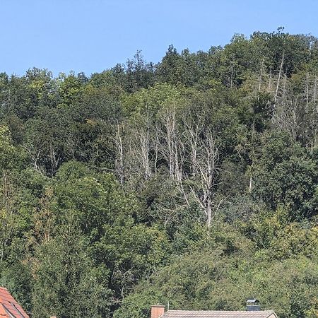 Ferienwohnung Mit Ausblick In Wimmelburg Exterior foto